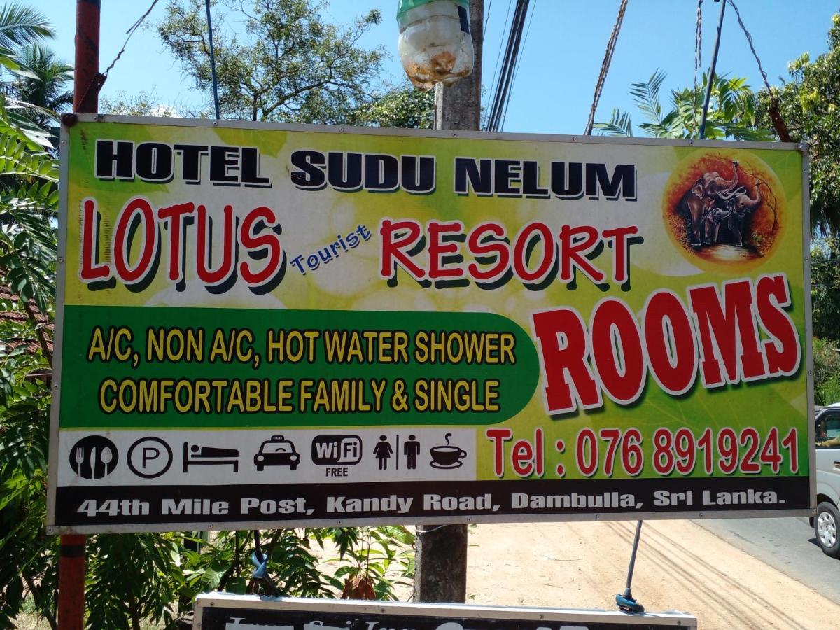 Lotus Inn Tourist Resort Dambulla Exterior foto