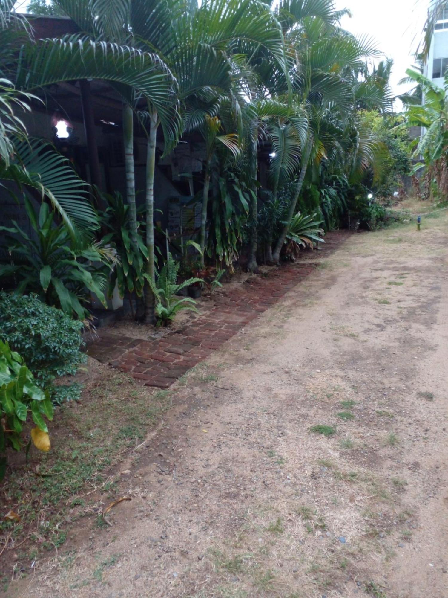 Lotus Inn Tourist Resort Dambulla Exterior foto