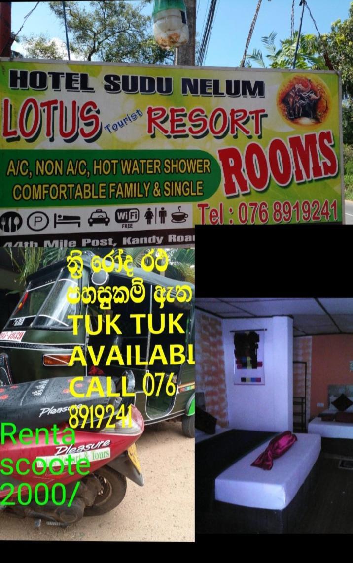 Lotus Inn Tourist Resort Dambulla Exterior foto