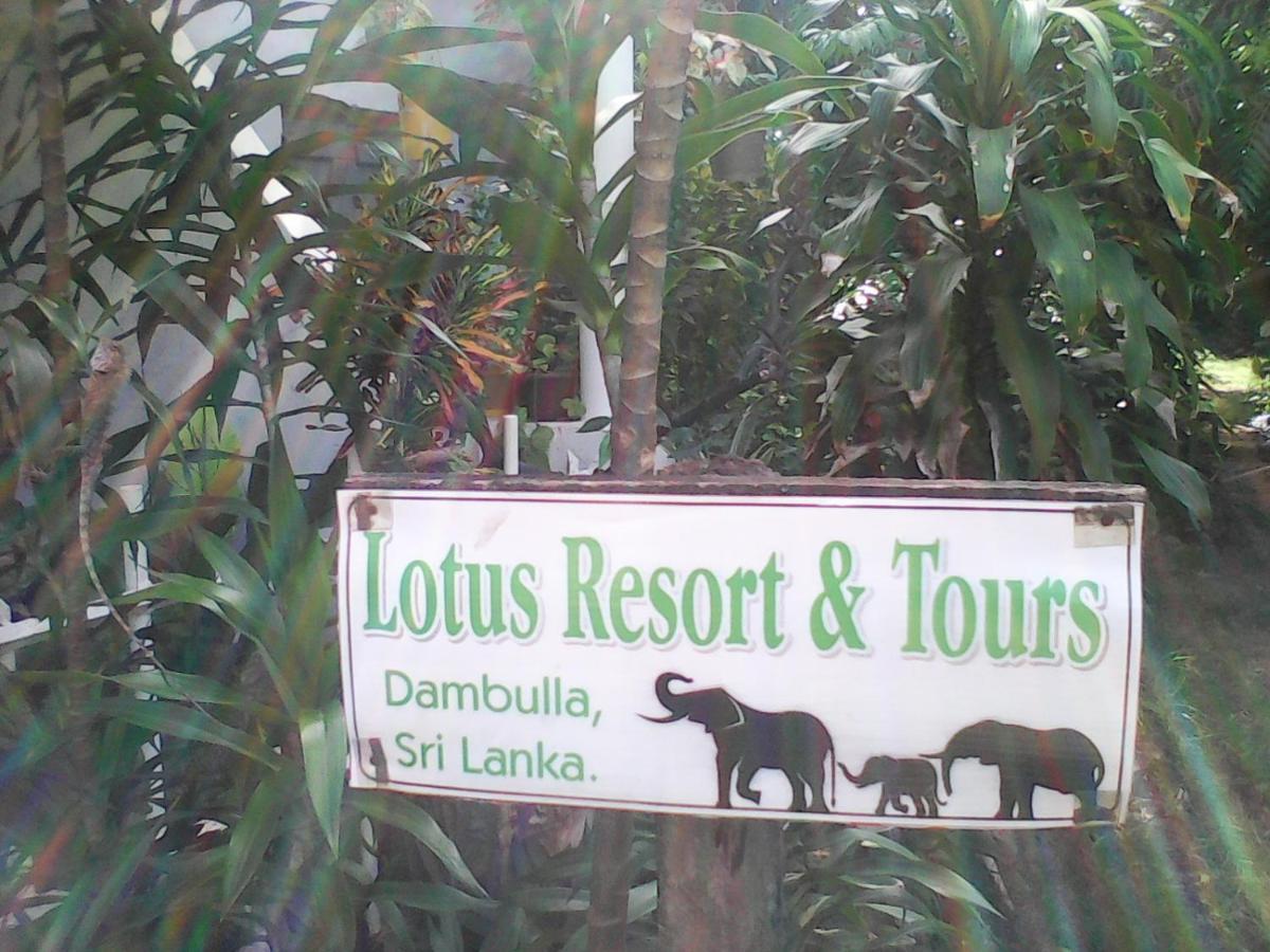 Lotus Inn Tourist Resort Dambulla Exterior foto