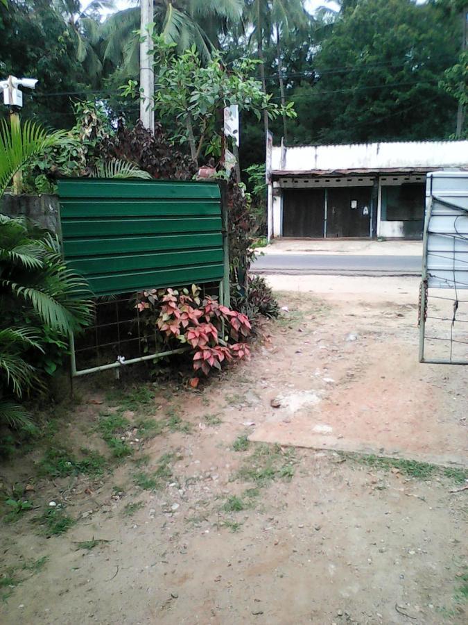 Lotus Inn Tourist Resort Dambulla Exterior foto