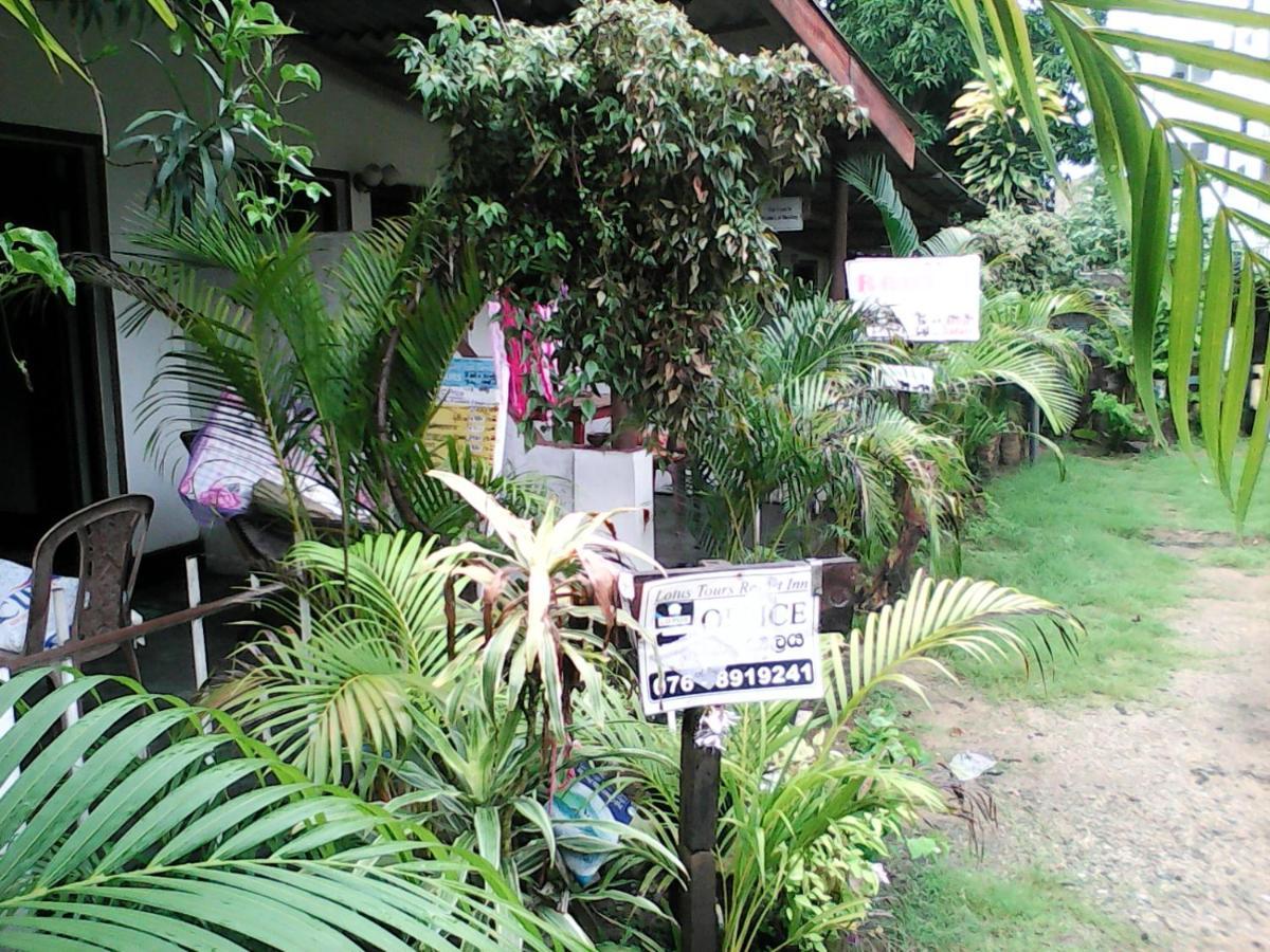 Lotus Inn Tourist Resort Dambulla Exterior foto